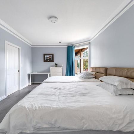 ריצ'מונד Amy Guesthouse מראה חיצוני תמונה